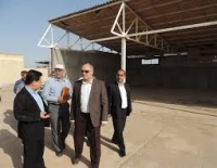 Project of Infrastructure and Electrical Installation Instruction in Buffalo Breeding District, Salman Farsi, Ahvaz